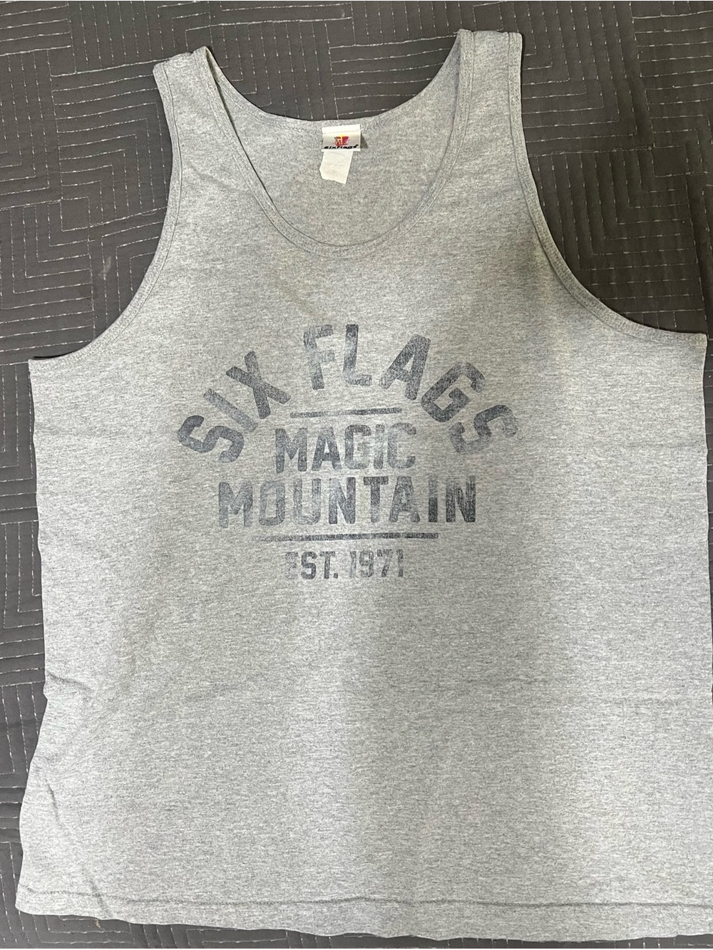 Six Flags Magic Mountain Men's Gray Tank Top